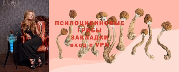 mdpv Нефтекумск