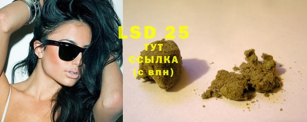 марки lsd Новозыбков