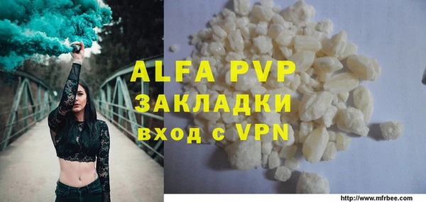 стаф Тайга