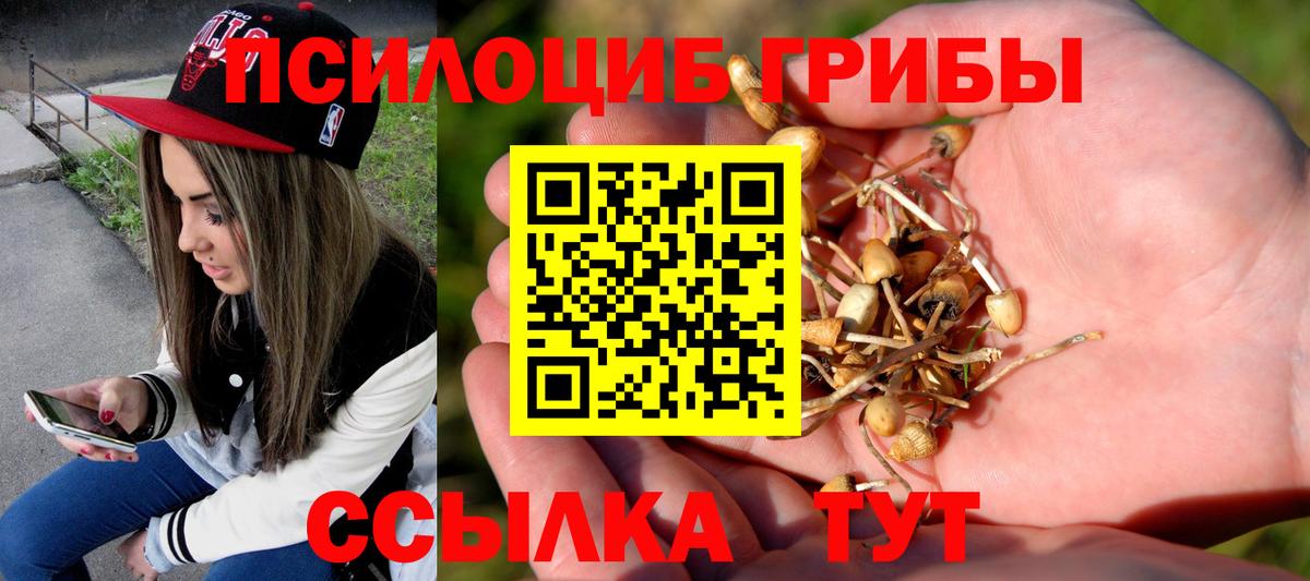 Галлюциногенные грибы Magic Shrooms Камышлов